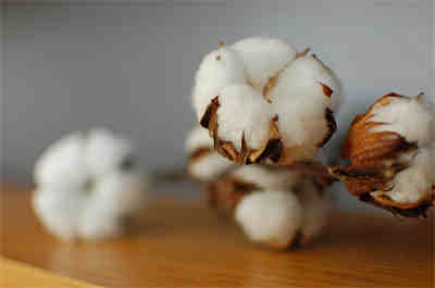 aran weight cotton yarn aran weight cotton yarn